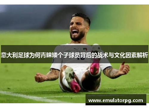 意大利足球为何青睐矮个子球员背后的战术与文化因素解析